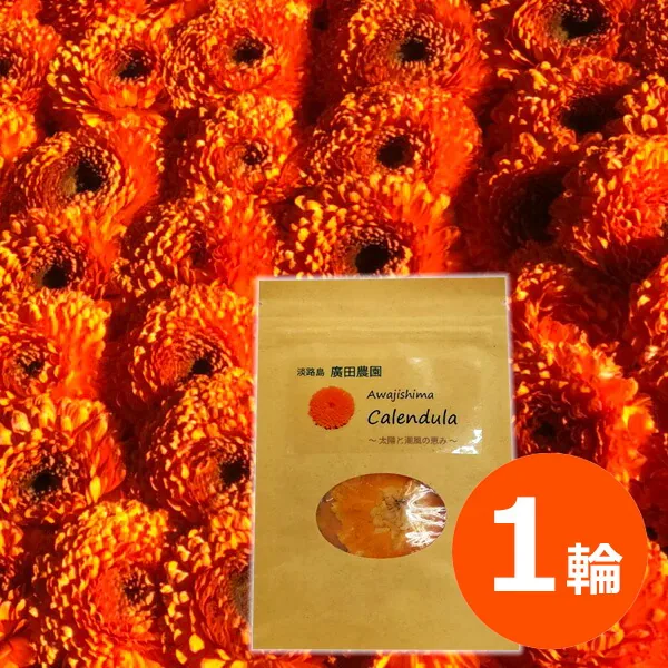 廣田農園のカレンデュラ（販売ページの写真）